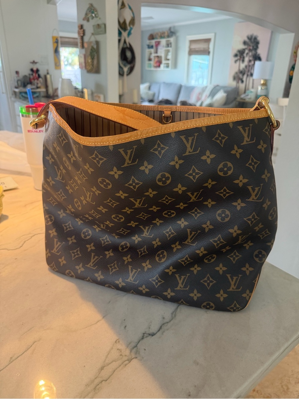 Louis Vuitton Monogram Canvas Hobo Bag in Brown and Tan